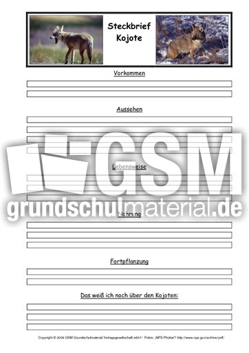 Kojote-Steckbriefvorlage.pdf